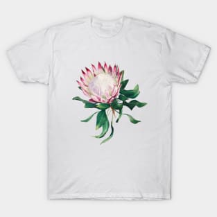 King protea flower T-Shirt